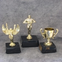 Trophy Cups, Victory Awards, Torch Trophy, Constellation Trophy, Shooting Stars Trophy, Victory Trophy, Victory Medallions & Resin Ovals.