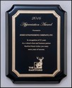 Award Image