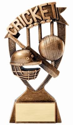 Emblems-Gifts Curve Bronze Kids Cricket Trophy With Free Engraving 