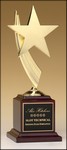 Award Image