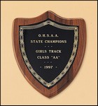 Award Image