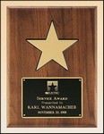 Award Image
