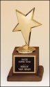 Award Image