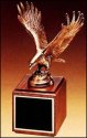 Award Image
