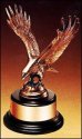Award Image