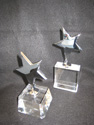 Award Image