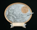 Award Image