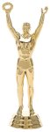 Award Image