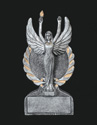 Award Image