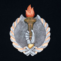 Award Image