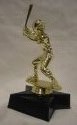 Award Image